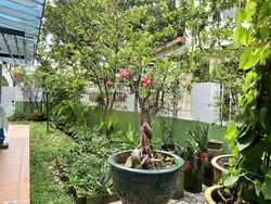 Camelia Park (D28), Semi-Detached #466809541